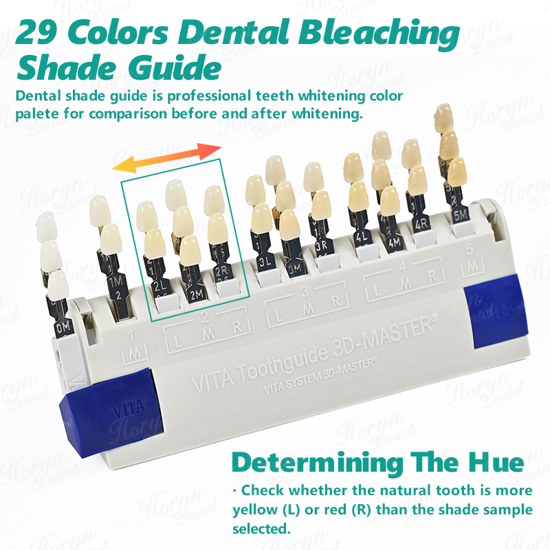 Vita 3D Master Dental Lab Blea - огляд і ціна Teeth Whitening Gel For Trays