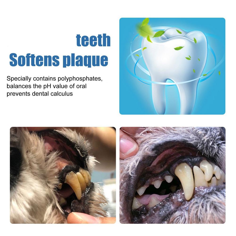 Pet Tartar Remover Dogs Cats T - огляд і ціна Teeth Whitening Effective